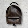 LV Louis Vuitton Mini Palm Springs Backpack 迷你小書包-0