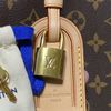 LV Petit Palais M45900 手提肩背老花包-7