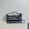 Dior Travel Nomad迪奧動物園系列手提包飯盒包-1