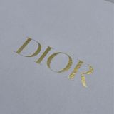 Dior Saddle 馬鞍袋連肩帶