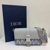 Dior 深淺灰牛皮拼 PVC鑽石紋 Hit the Road郵差包 斜背包