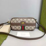 Gucci 古馳 Ophidia 老花相機包