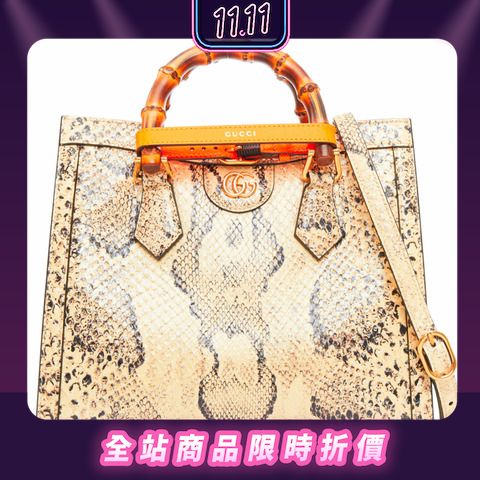 GUCCI Dionysus Hobo 446687 2024 11 PopChill
