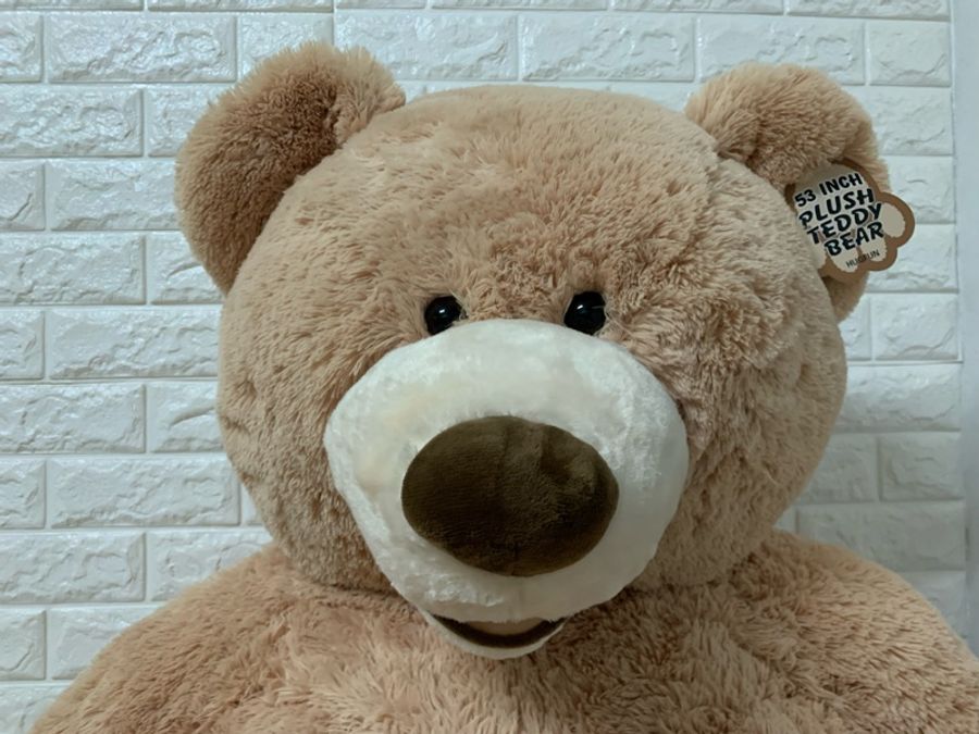 好市多購買53吋絨毛泰迪熊🧸-2