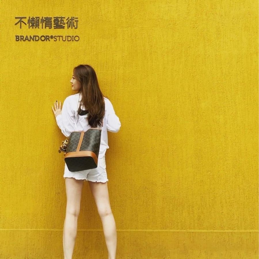 Celine 水桶包 中款 經典老花-12