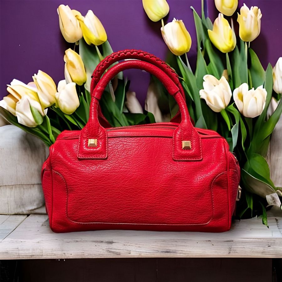 🍒CELINE 紅色手提包 2F230225-3-1