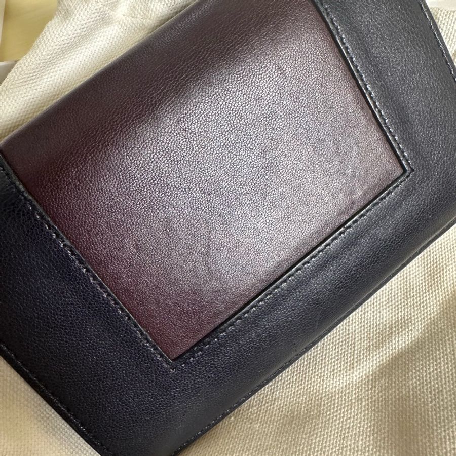 old Celine Frame 中夾-3