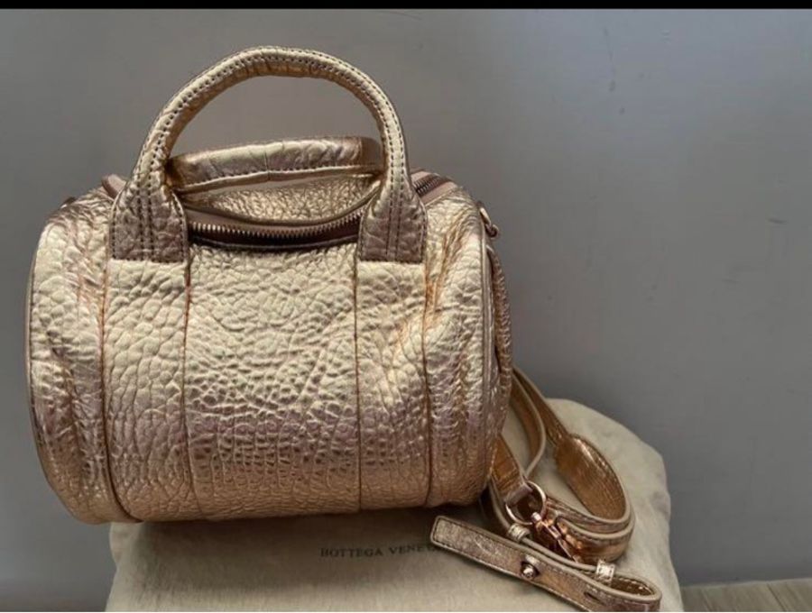 全新 Alexander Wang 粉膚金色卯釘包-1