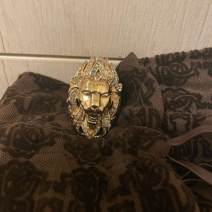 國際藝人最愛的品牌Roberto cavalli-1