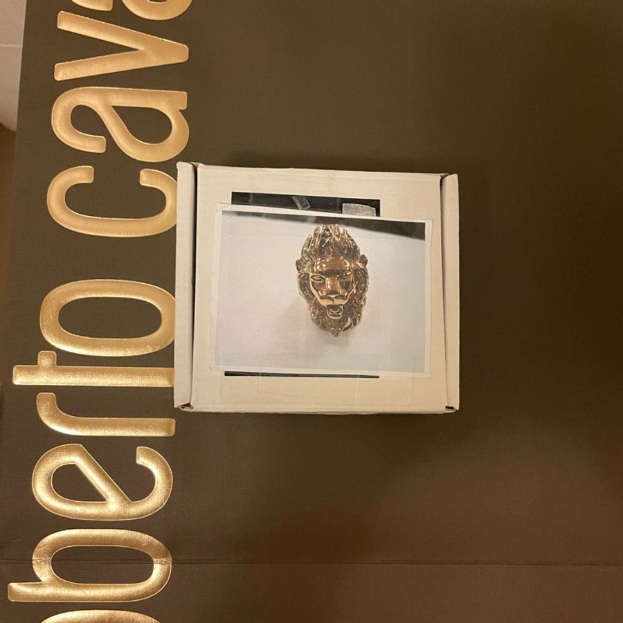 國際藝人最愛的品牌Roberto cavalli-5