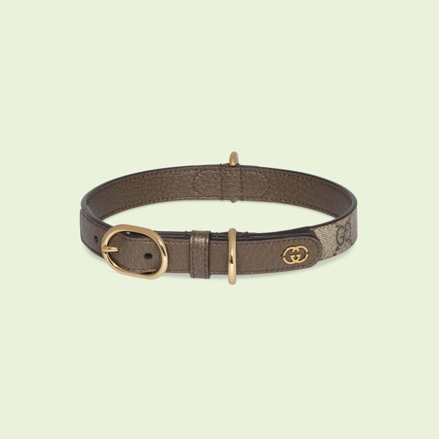 GUCCI Pet 寵物牽繩組(收據、實體照在後面)-0