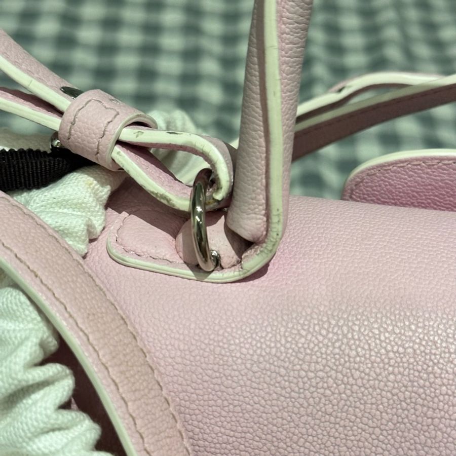 Delvaux Brillant Mini 櫻花粉白扣包包（限定下單）-26