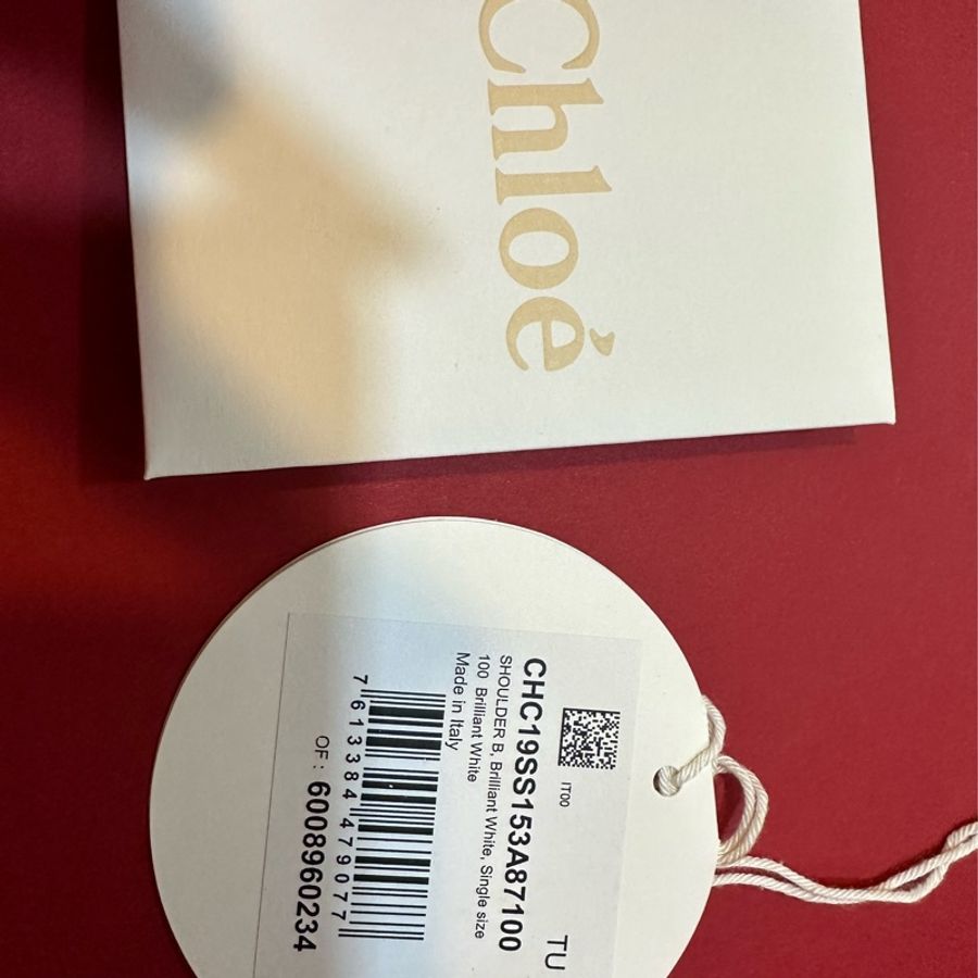 誠可議 Chloe small Tess bag brilliant white 小牛皮拼接麂皮 釦環設計 亮白色鱷魚壓紋 雙層背帶 肩背包側背包 馬鞍包 手提包-23