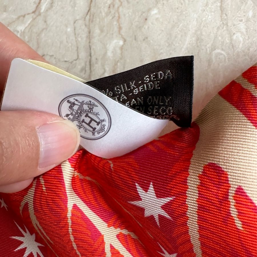 Hermes 愛馬仕twilly熱門爆款🔥瑪雅叢林橘紅色系-3