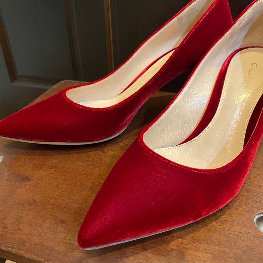 GIANVITO ROSSI 紅絲絨細跟鞋-9