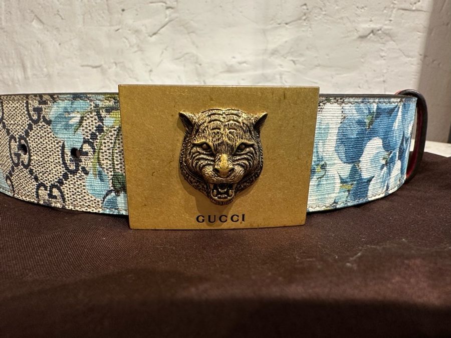 Gucci 虎頭天竺葵花Logo皮帶-0