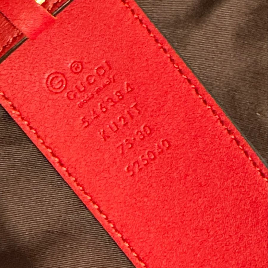 Gucci 虎頭天竺葵花Logo皮帶-11
