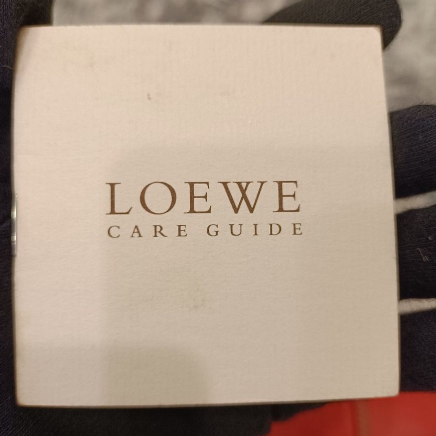 Loewe 桃紅手提包-20