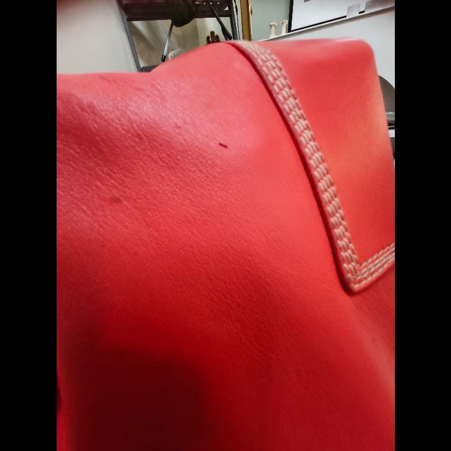 Loewe 桃紅手提包-35