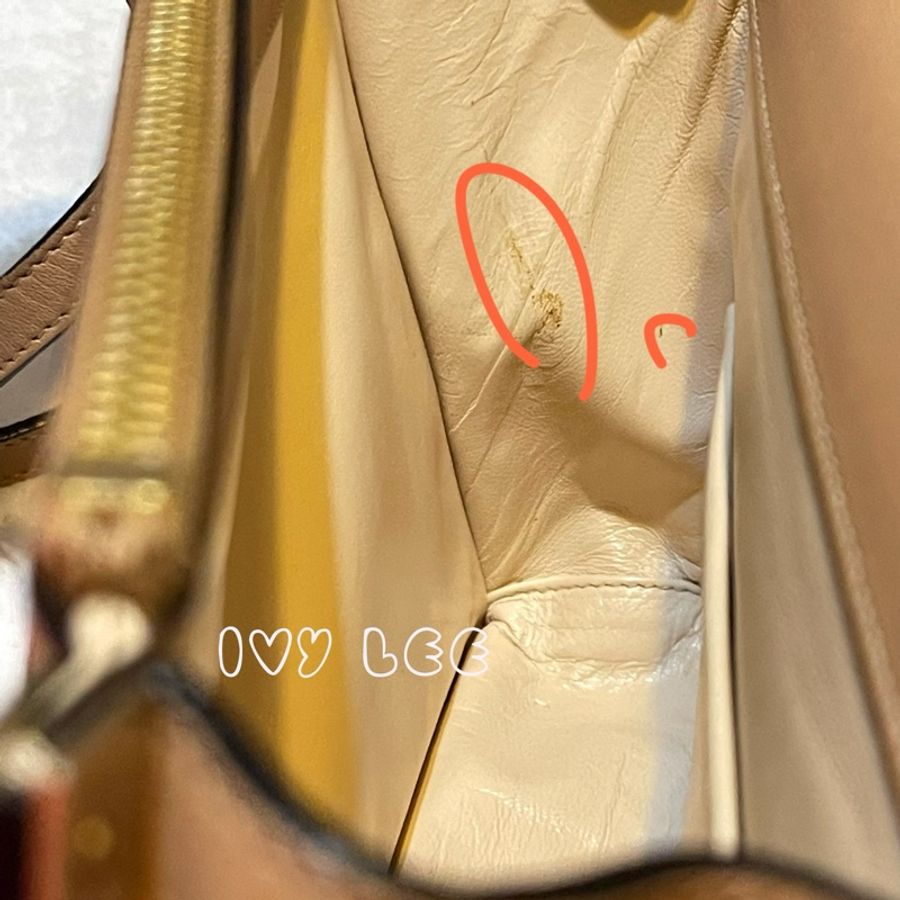 Chloe 粉膚桃色皮革 Rachel 金色 蝴蝶結 斜揹包 肩背包 二手精品-21
