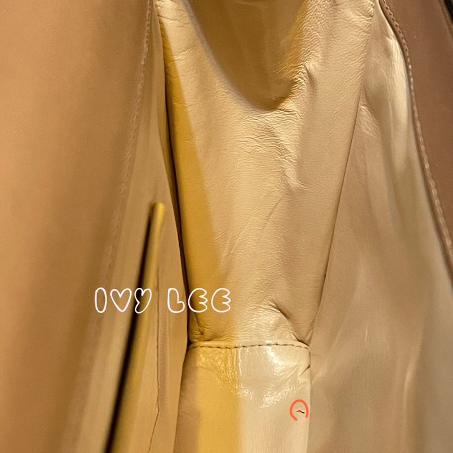 Chloe 粉膚桃色皮革 Rachel 金色 蝴蝶結 斜揹包 肩背包 二手精品-22