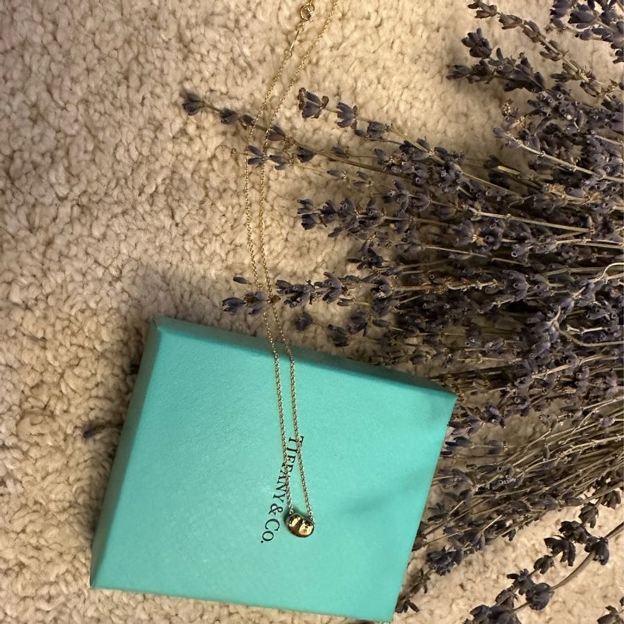 ［想出清啦］ Tiffany&Co 18k金 bean 相思豆項鍊-0