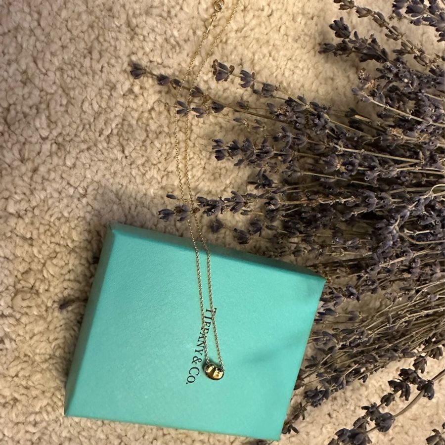 ［想出清啦］ Tiffany&Co 18k金 bean 相思豆項鍊-9