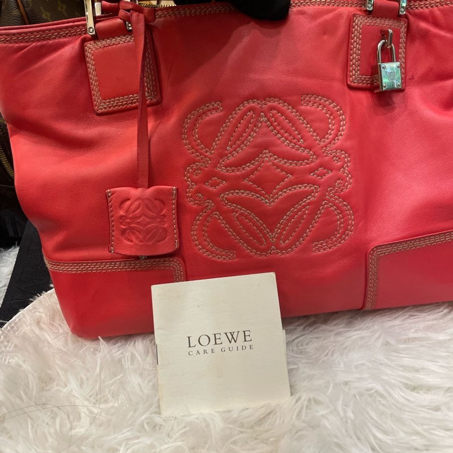 Loewe 手拿包-11