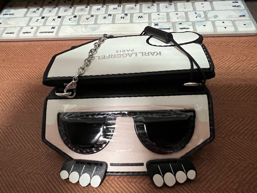 全新 KARL LAGERFELD 卡片鏈帶迷你包-2