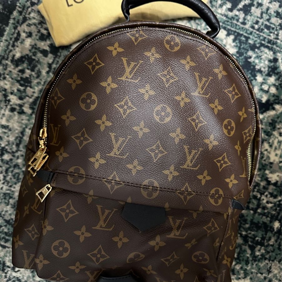 Louis Vuitton Palm Springs MM 後背包 LV-1