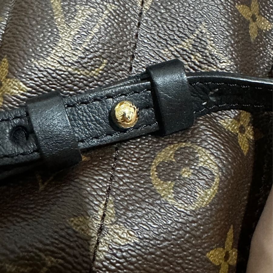 Louis Vuitton Palm Springs MM 後背包 LV-4