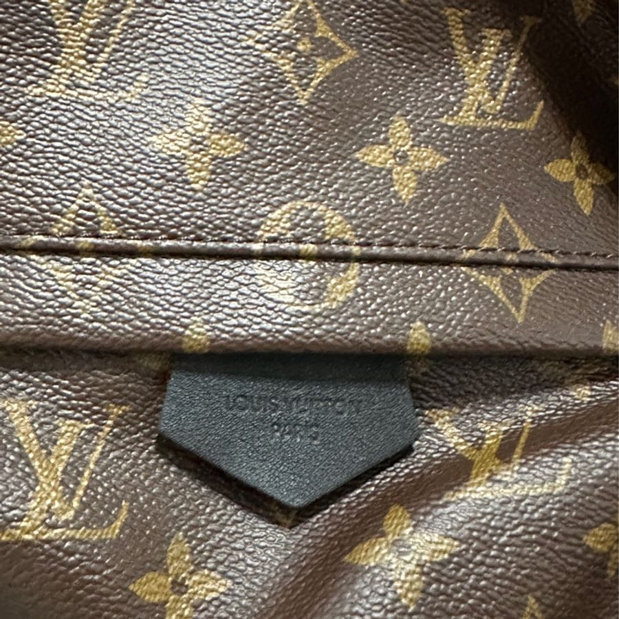 Louis Vuitton Palm Springs MM 後背包 LV-13