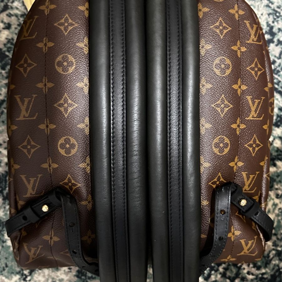Louis Vuitton Palm Springs MM 後背包 LV-15