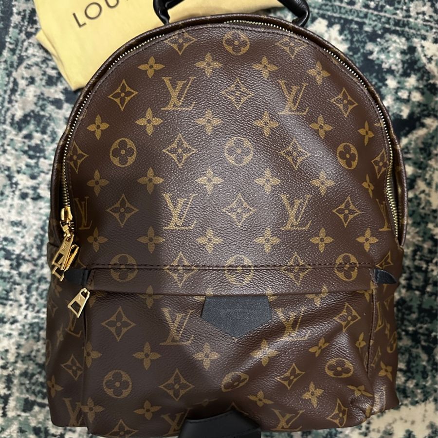 Louis Vuitton Palm Springs MM 後背包 LV-17