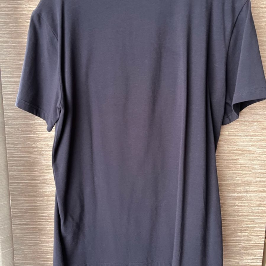 Guess 藍色T-shirt(男款)-14