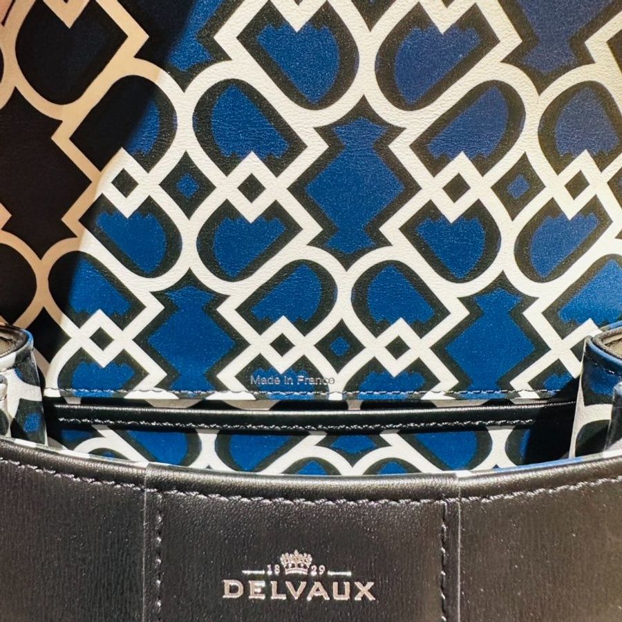 Delvaux Brillant Mini S Box Calf Lining D-11