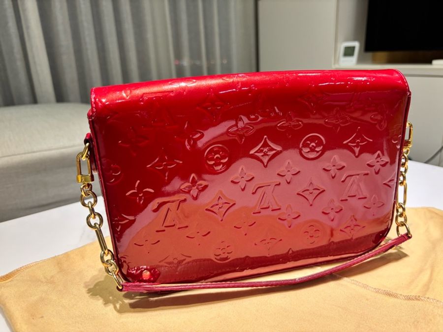 Louis Vuitton 超稀有!腋下包-2
