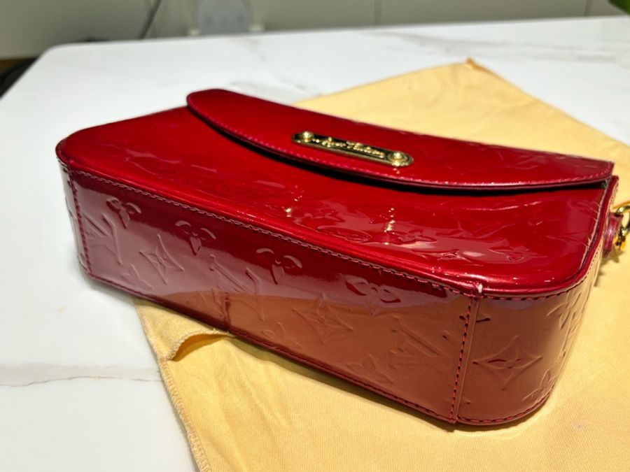 Louis Vuitton 超稀有!腋下包-14