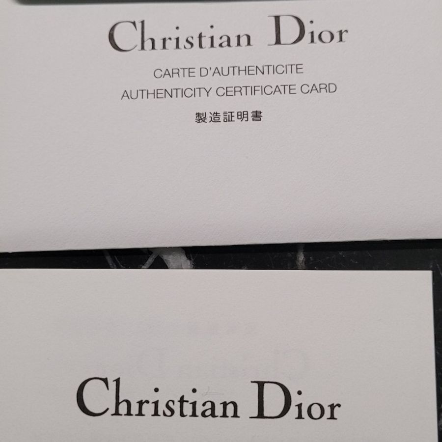 Dior 手提包-13