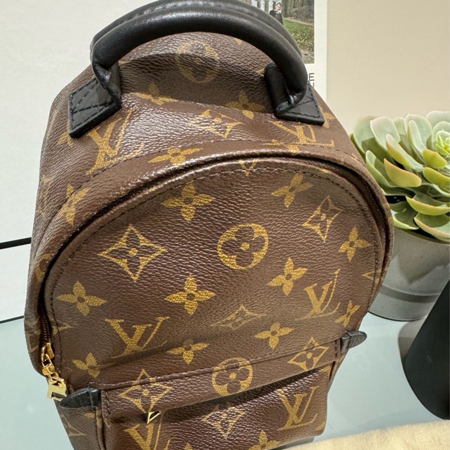 LV Palm Springs Mini Monogram 帆布老花 mini 後背包-4