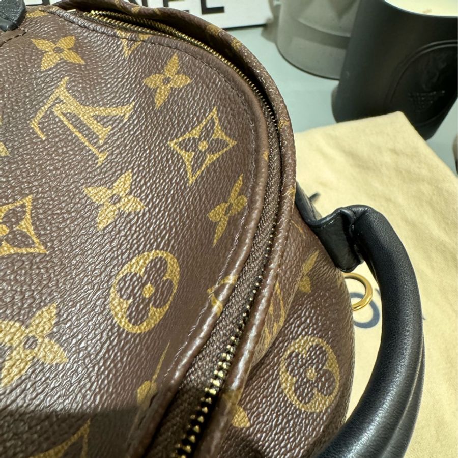 LV Palm Springs Mini Monogram 帆布老花 mini 後背包-7