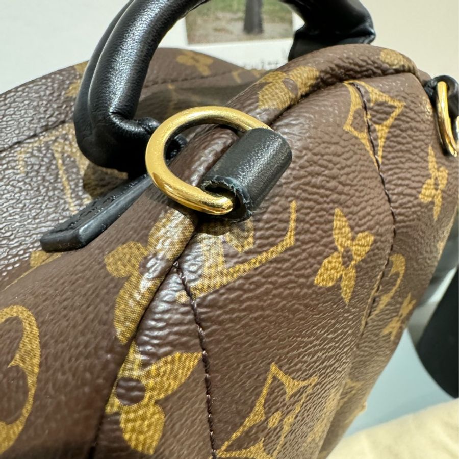 LV Palm Springs Mini Monogram 帆布老花 mini 後背包-8