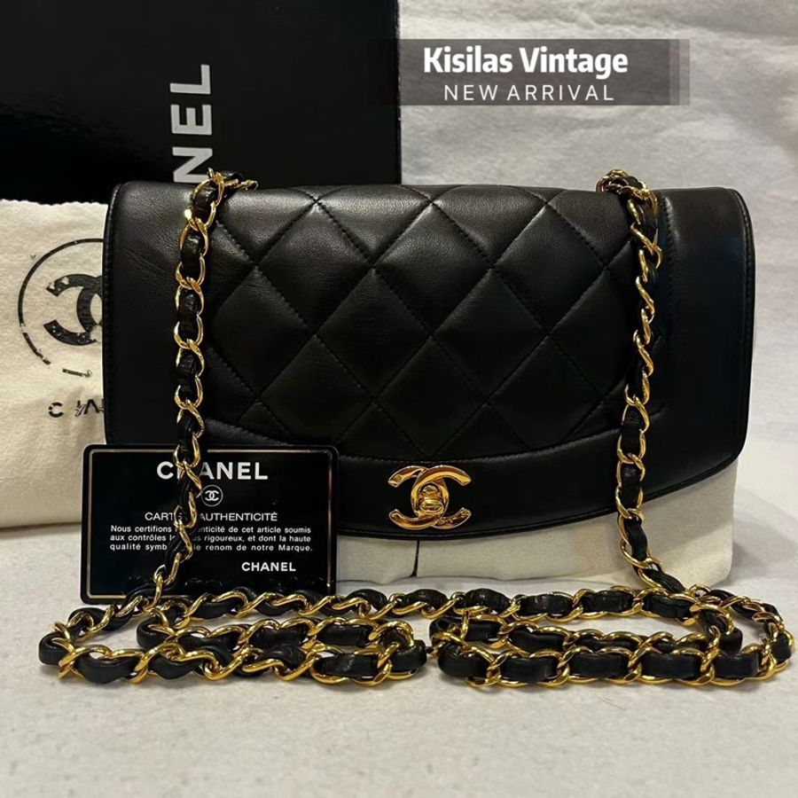 Chanel Lambskin Diana 22cm-0