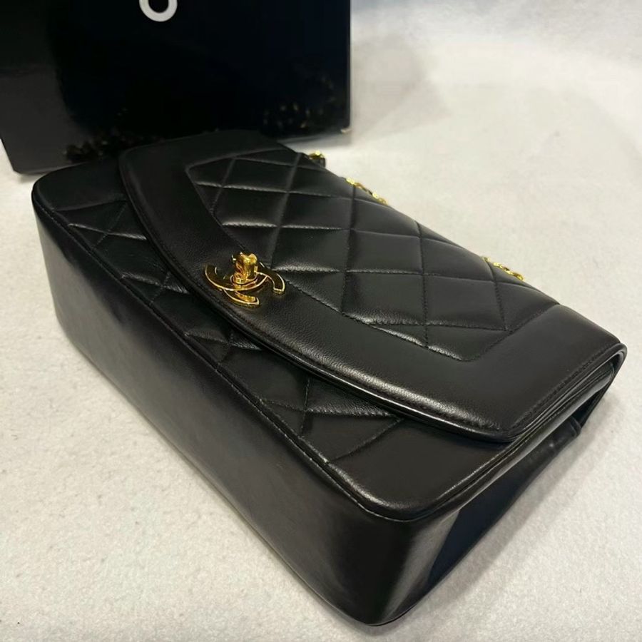 Chanel Lambskin Diana 22cm-3