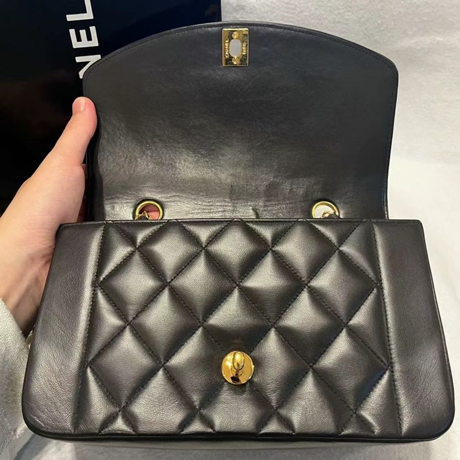 Chanel Lambskin Diana 22cm-6