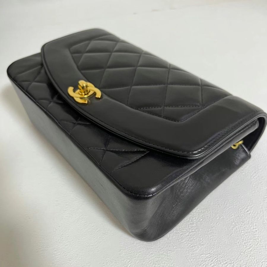 Chanel Lambskin Diana 22cm-4