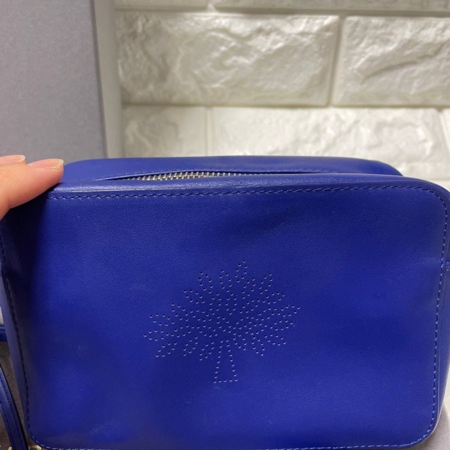 Mulberry-1