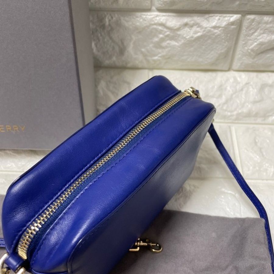 Mulberry-3