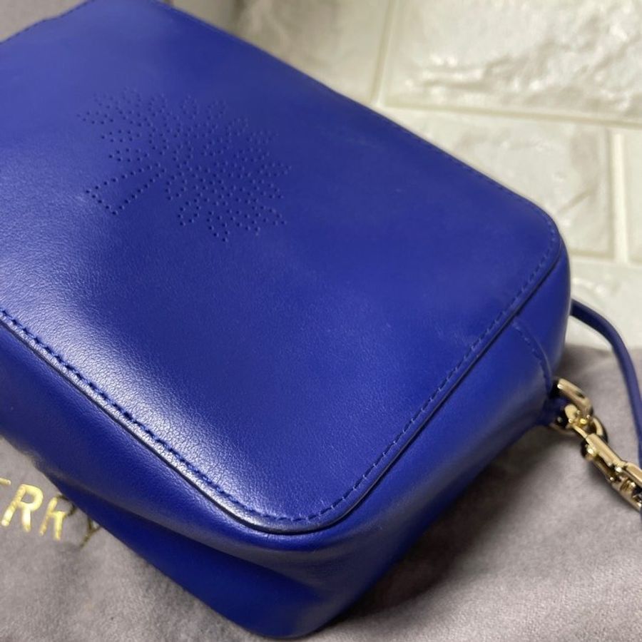 Mulberry-6