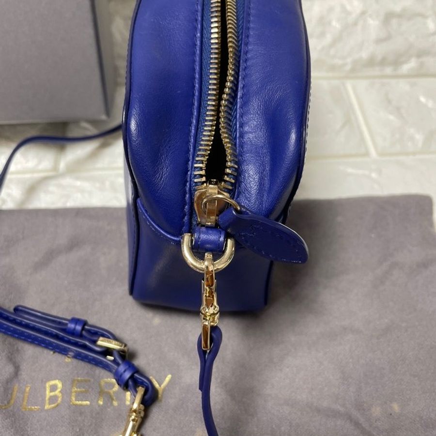 Mulberry-10